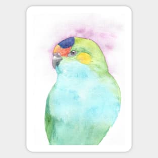 Purple-crowned lorikeet watercolor portrait n.2 Sticker